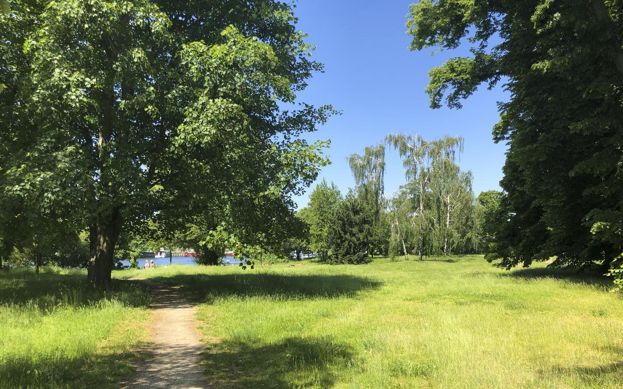 Park Penthouses Insel Eiswerder By Suite030 Берлин Екстериор снимка